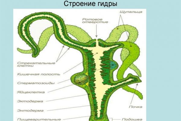Блэкспрут онлайн