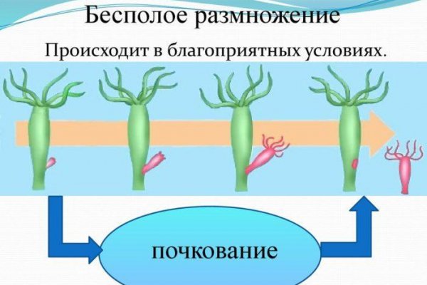 Кракен ссылка зеркало
